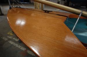 Albacore